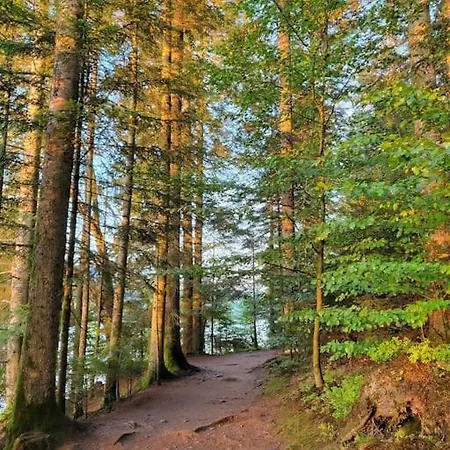 Cocon Gerardmer A 5Min Du Lac Extérieur photo